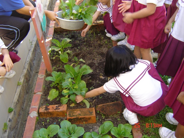 DSC07701.JPG